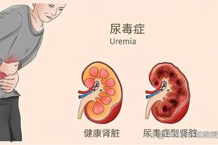 金博宝188官网网址截图4